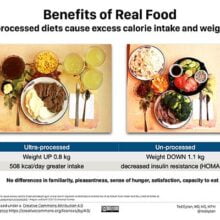 Is a low-fat food regimen higher for weight reduction?