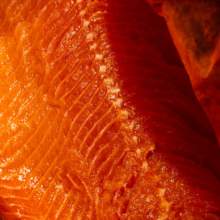 Just How Healthy Is Salmon?