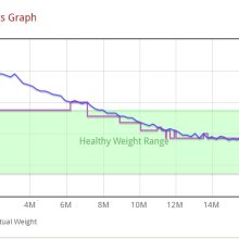 How lengthy does it take to drop a few pounds?