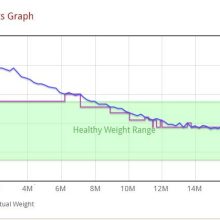 How lengthy does it take to drop a few pounds?