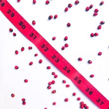 Should I depend macros or simply energy for weight reduction? Should I depend macros or simply energy for weight reduction?